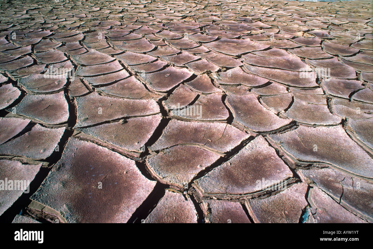 Un campo rotto a seguito della siccità o il riscaldamento globale Foto Stock