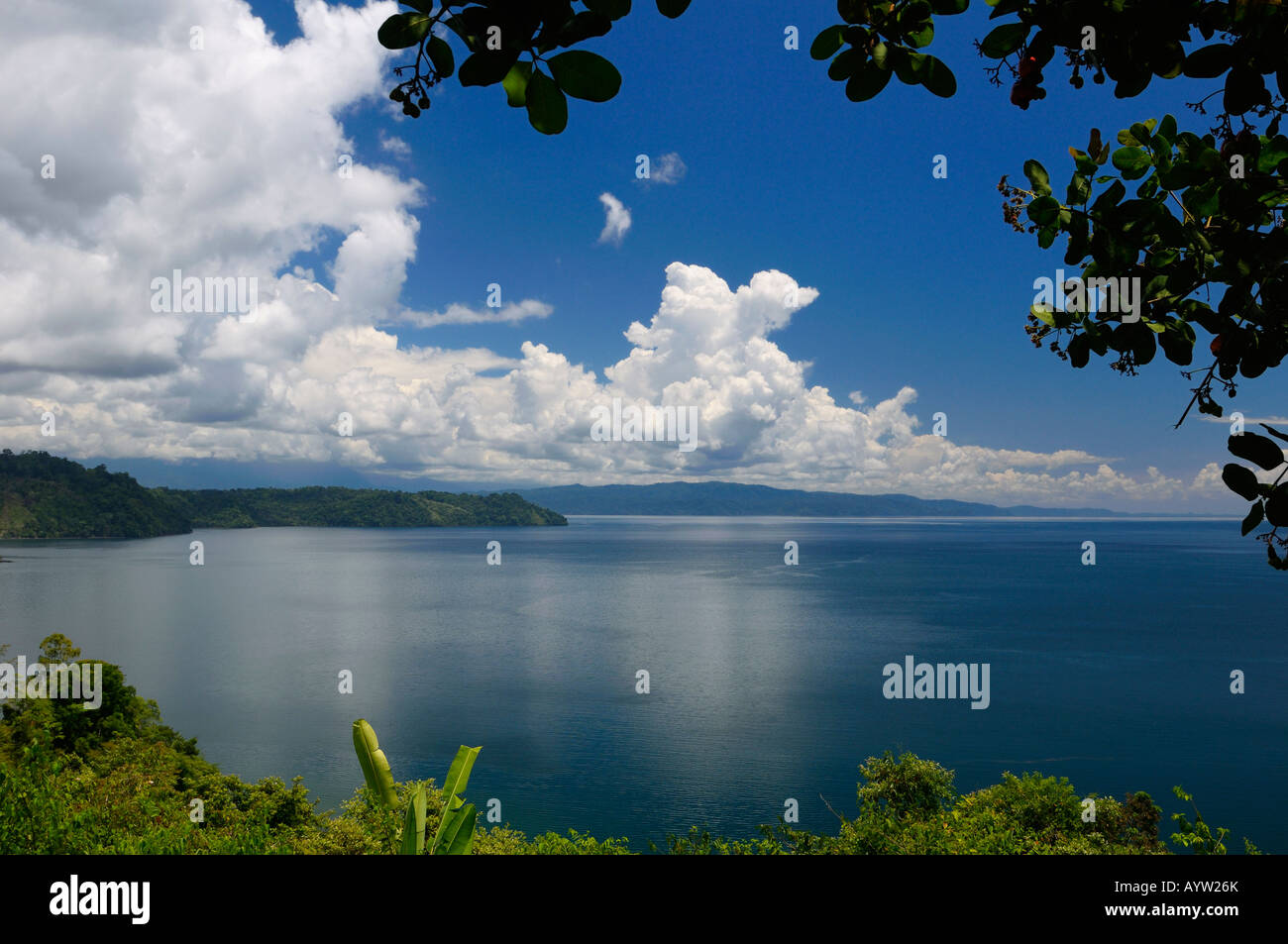 Blu acqua calma isolate di Golfo Dulce a Osa Peninsula Costa Rica sotto un albero di anacardi Foto Stock