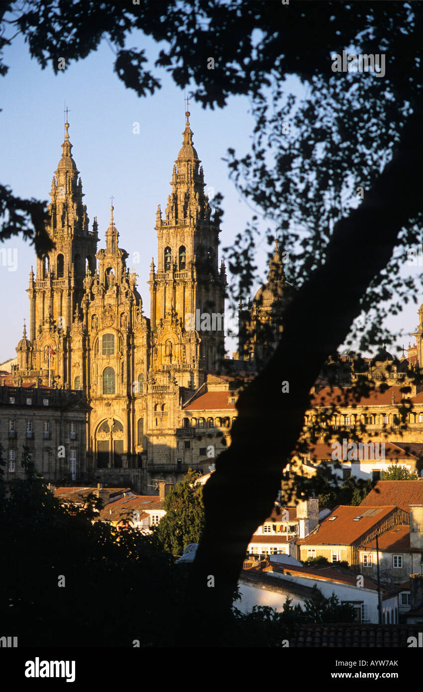 Cattedrale di Santiago de Compostela Galizia Spagna Foto Stock