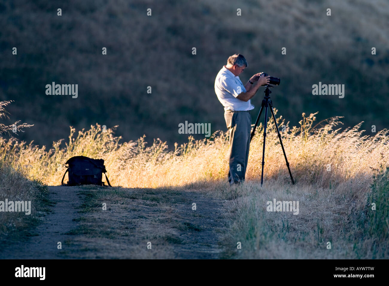 Voce maschile turistica prendendo fotografare nelle montagne di Santa Cruz in California Foto Stock