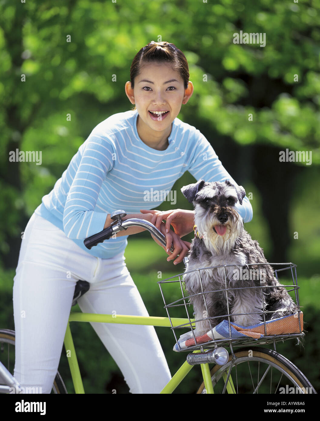 Donna su una bicicletta con il suo cane nel cestino Foto Stock