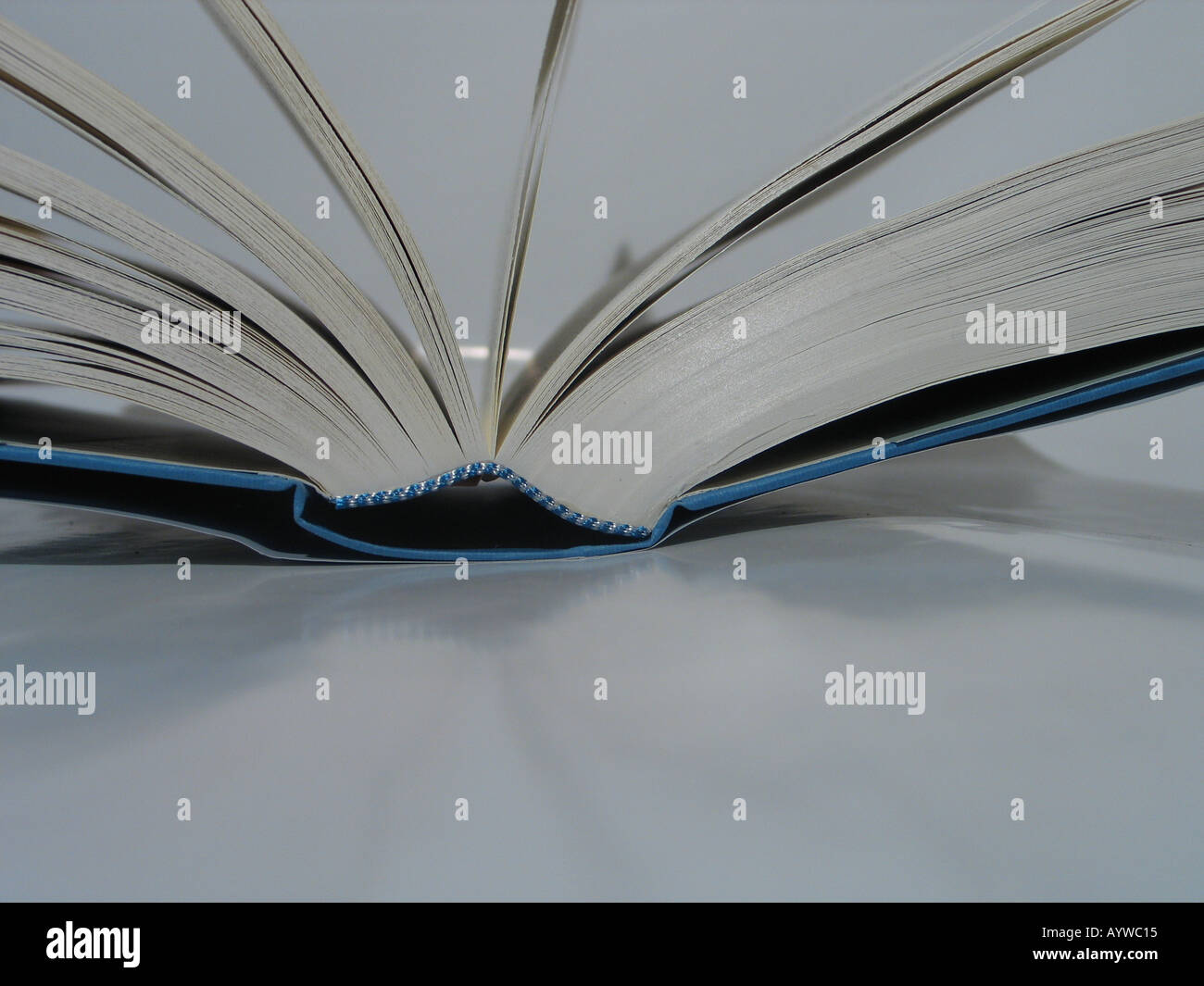 Libro Aperto a faccia in su con pagine flying Foto Stock