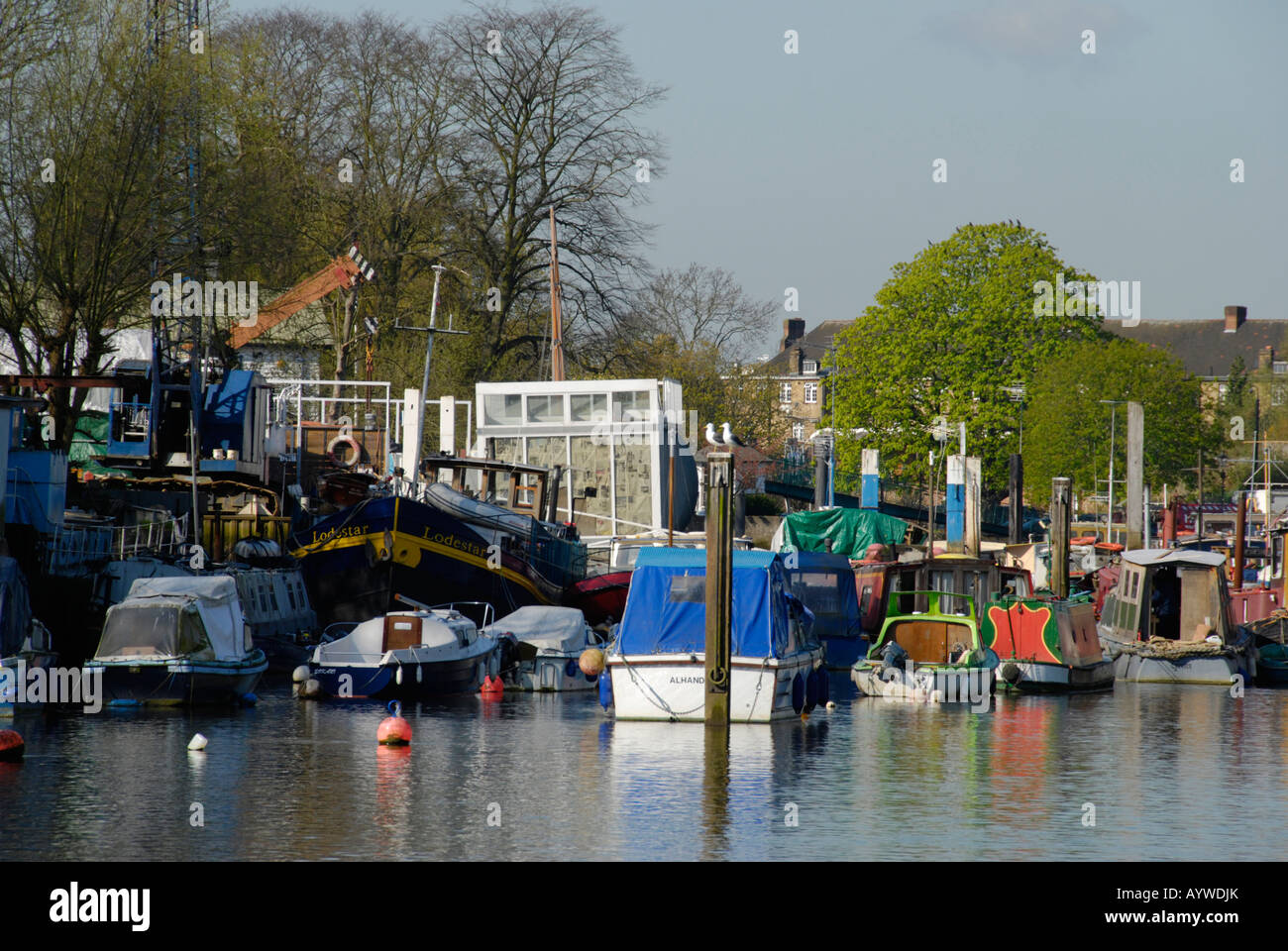 Eel Pie Island, Twickenham, Londra Foto Stock