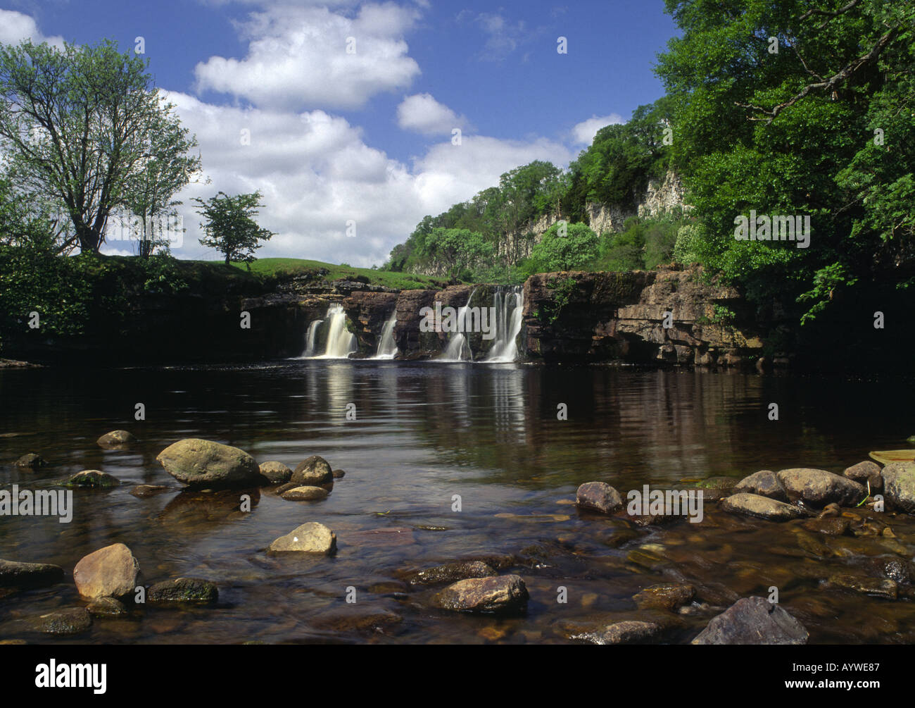 Wain Wath cascata di forza nella primavera del Fiume Swale Swaledale Yorkshire Dales Inghilterra Foto Stock