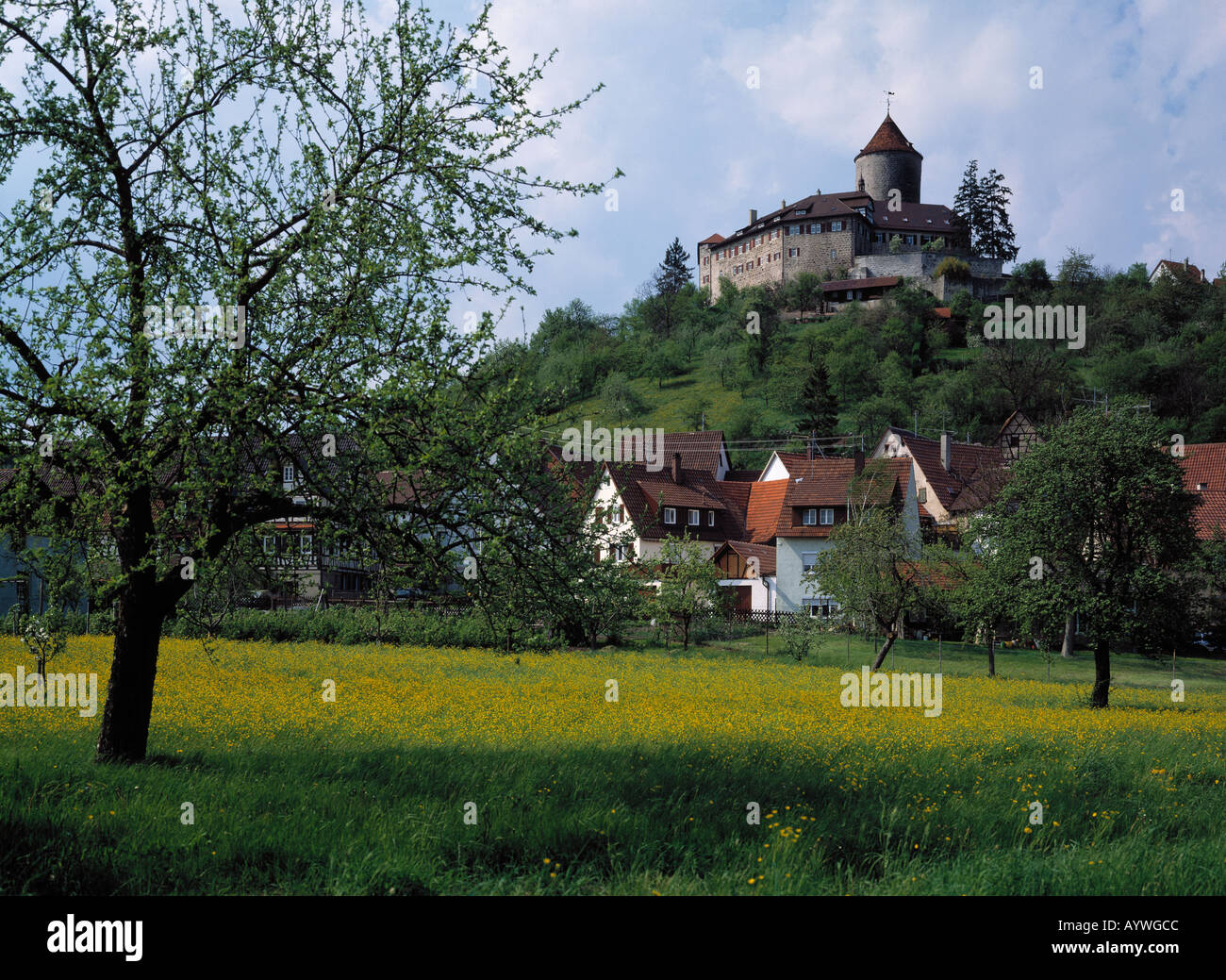 Fruehlingslandschaft, Burg, Oppenweiler, Schwaebischer Wald, Naturpark Schwaebisch-Fraenkischer Wald, Baden-Wuerttemberg Foto Stock