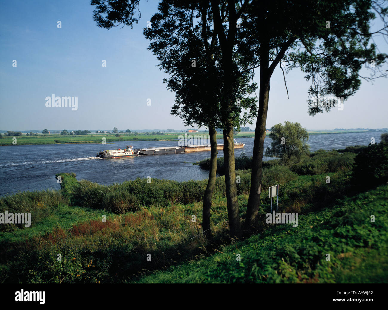 Frachtschiff auf der Elbe bei Neu Darchau, Naturpark Elbufer-Drawehn, Wendland ha, Bassa Sassonia Foto Stock