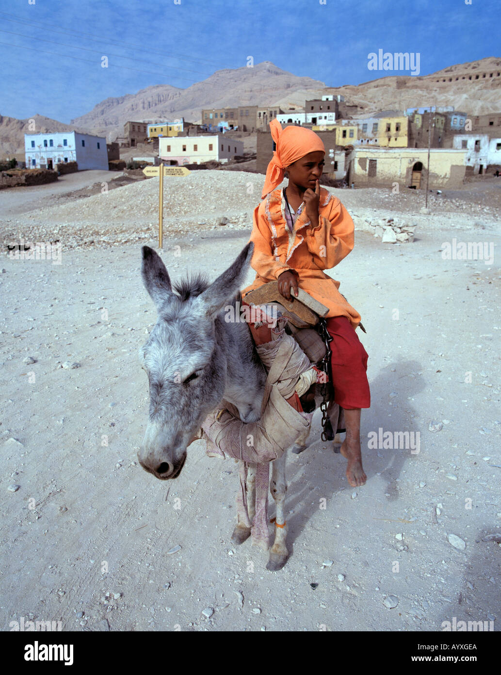 Egitto, ragazza cavalcando un asino Foto Stock