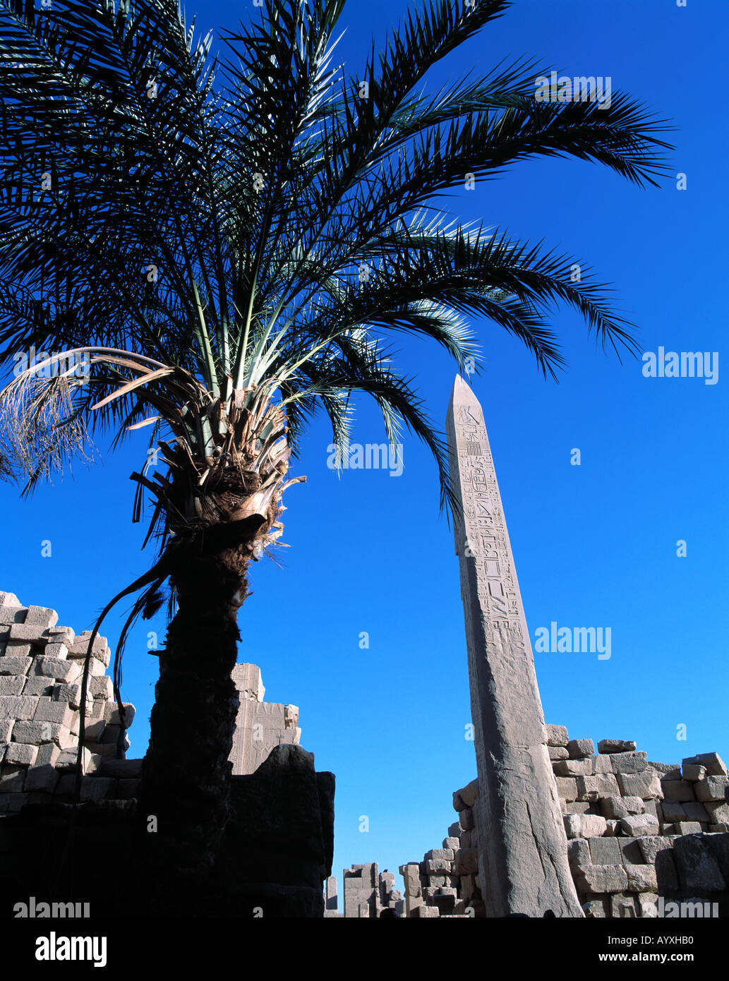 Ausgrabungsgelaende, Grosser Amun-Tempel, Tempelruinen, Hatschepsut-Obelisk, Karnak, Oberaegypten Foto Stock