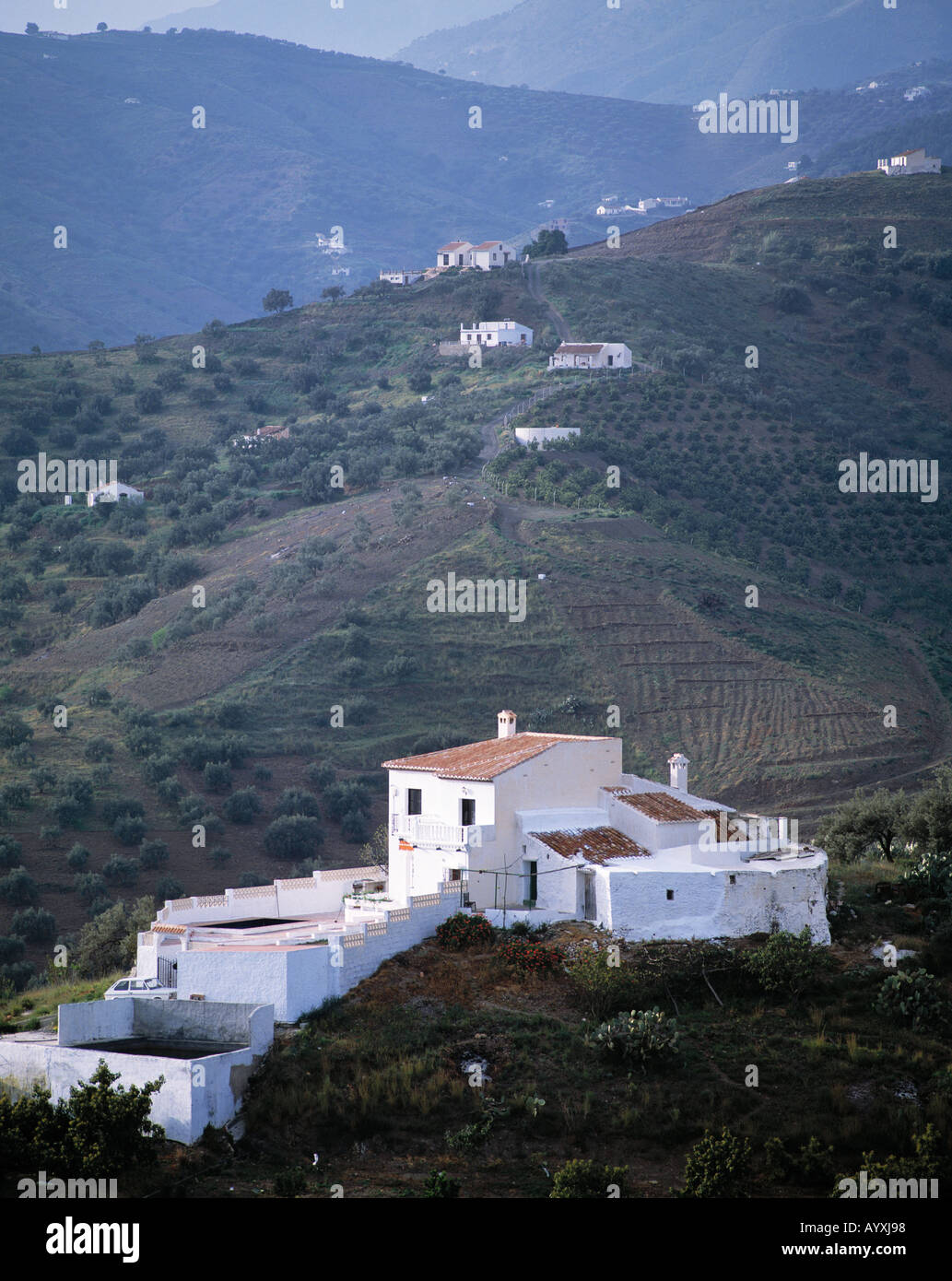 Berglandschaft, Sierra de Almijara, Weisses Haus un einem Berghang, Frigiliana, Malaga, Andalusien Foto Stock