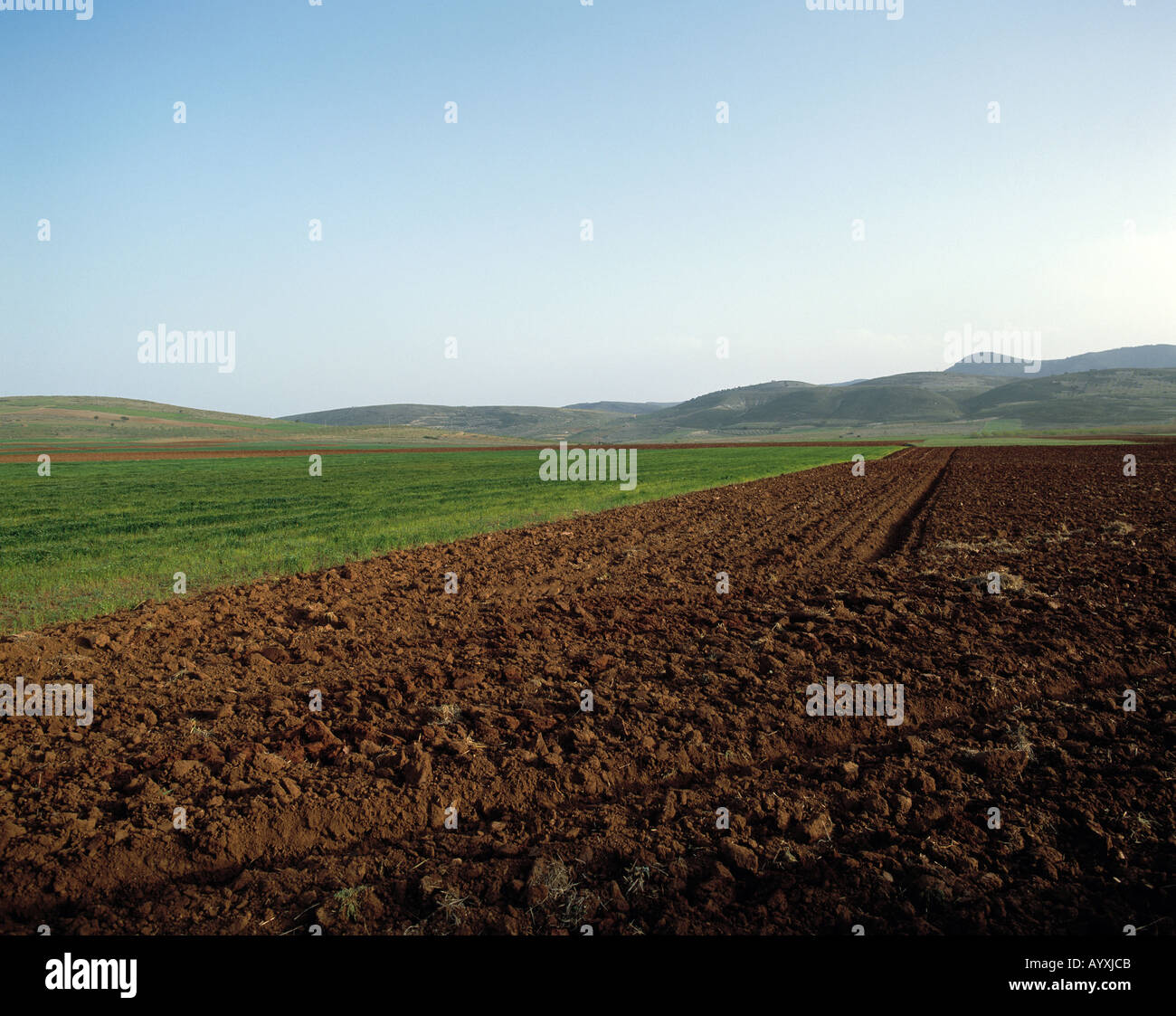 Ackerland, gepfluegter Accurboden, weite Ebene vor huegeligem Bergland, Granada, Andalusien Foto Stock