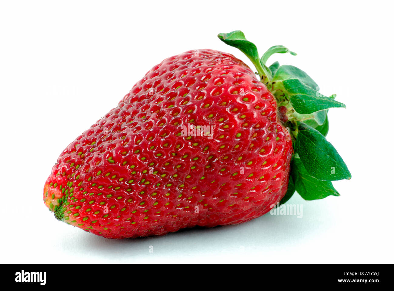 Una fragola su sfondo bianco Foto Stock
