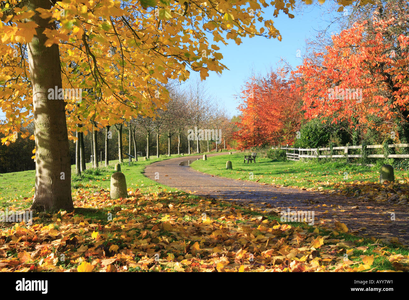 "Wandlebury Country Park", "Gog Magog' Colline Cambridge Foto Stock