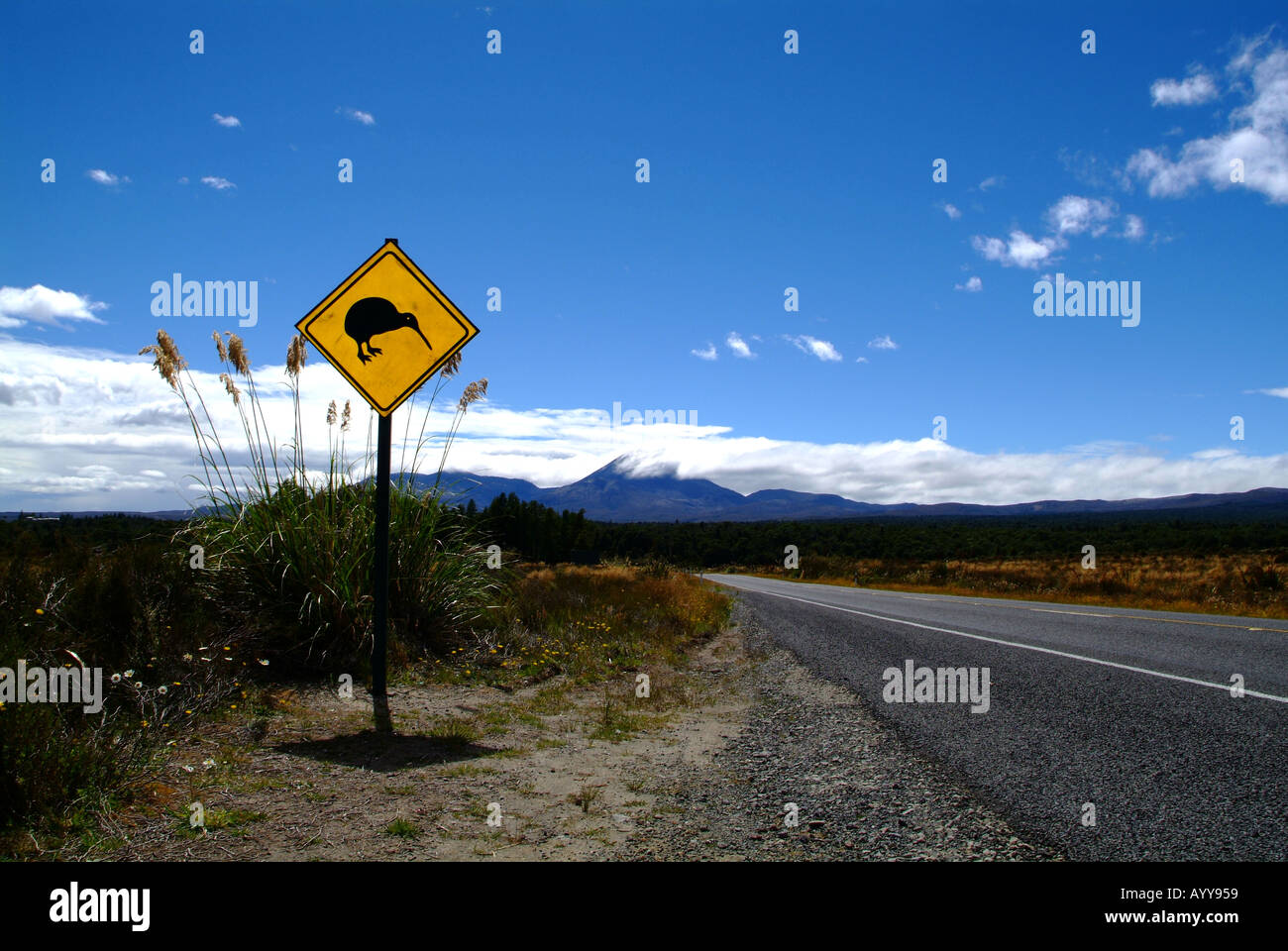 Nuova Zelanda Road Kiwi segno di avvertimento Foto Stock