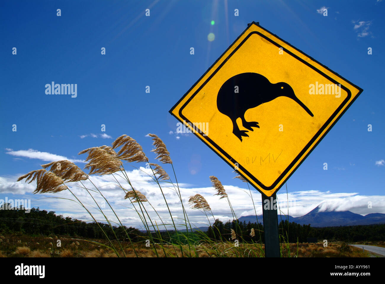 Kiwi segno di avvertimento Foto Stock