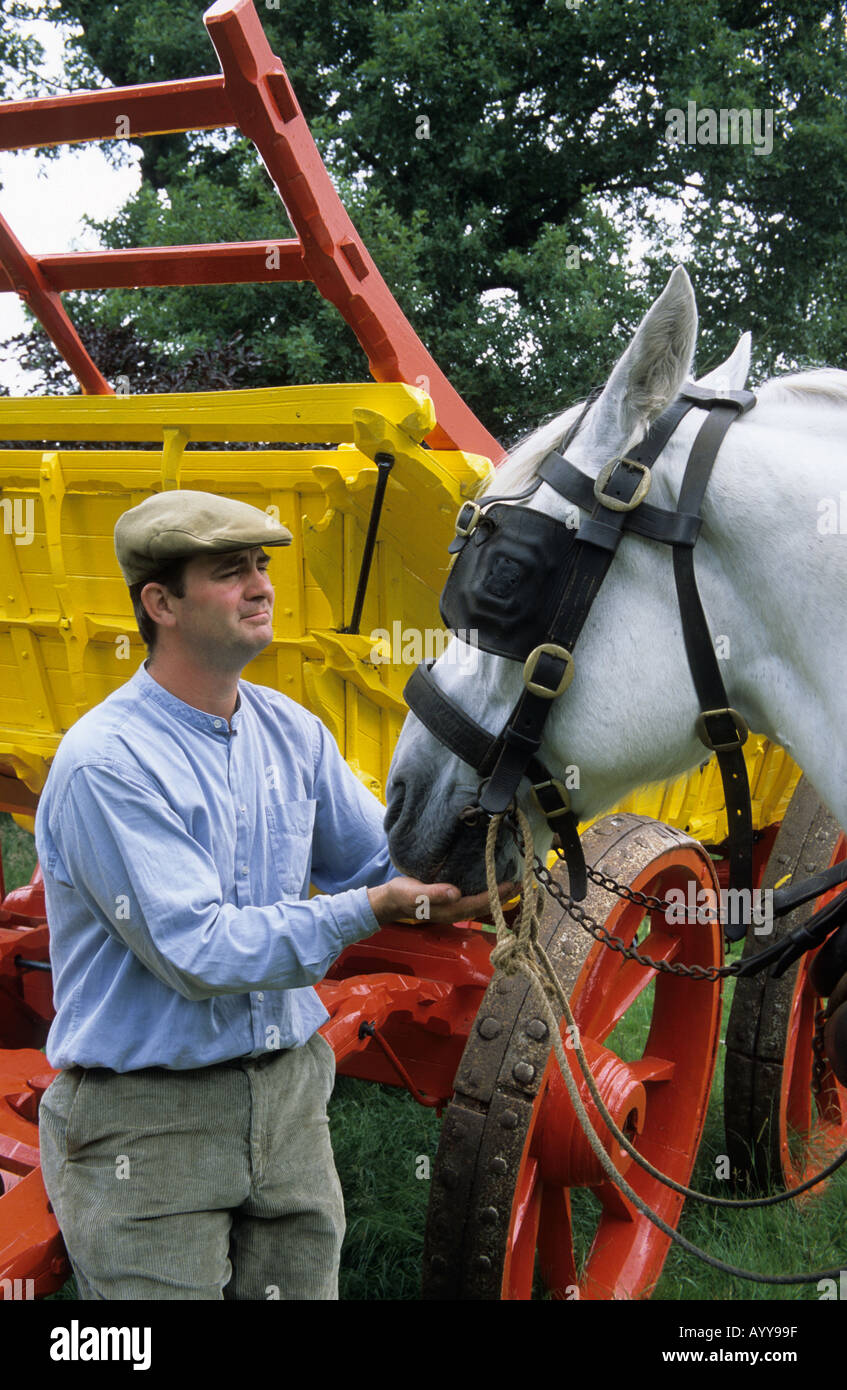 Un wagoner regolando il cablaggio su un cavallo disegnato il tosaerba a Acton Scott una fattoria Museo in Shropshire Foto Stock