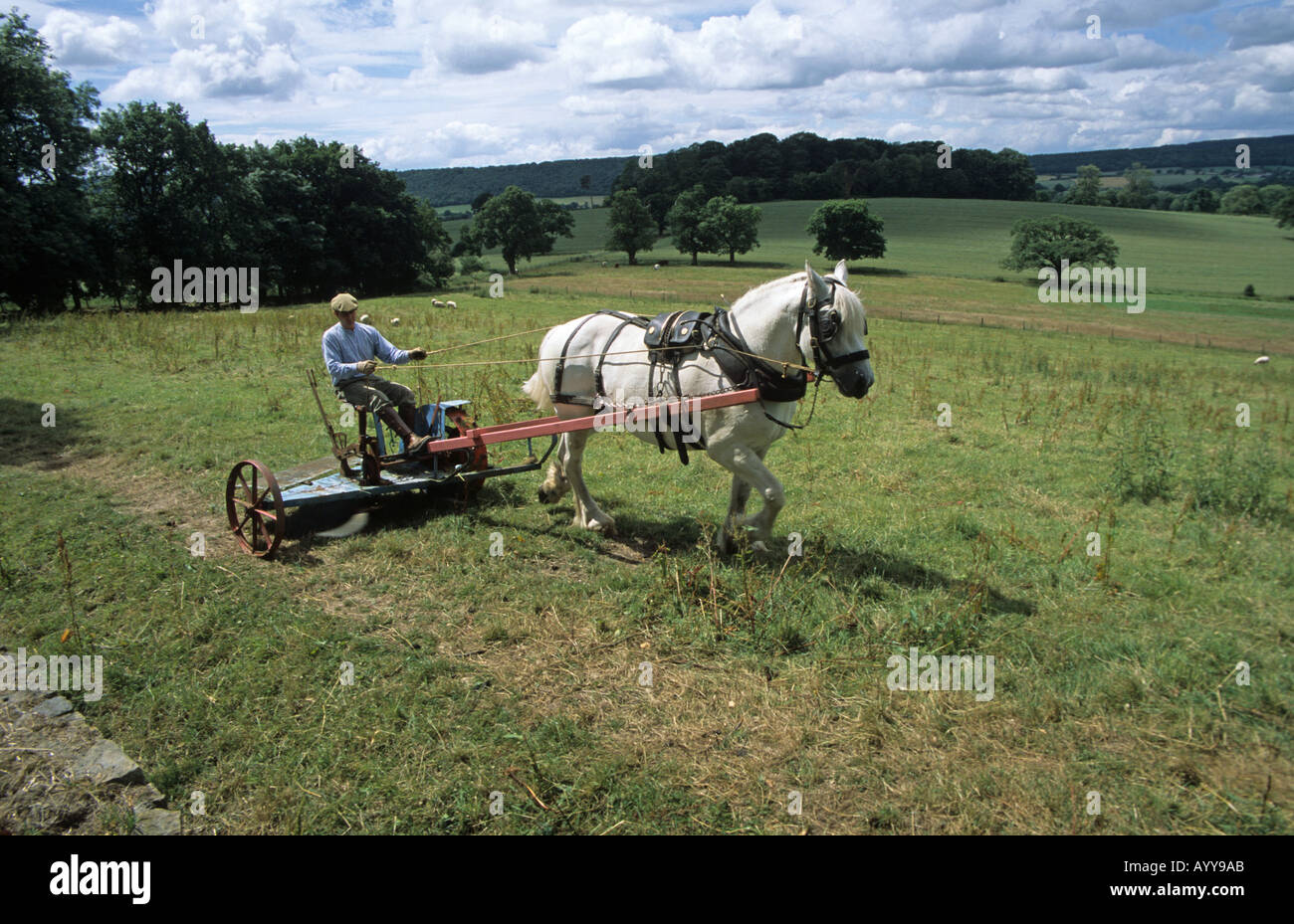Fienagione alla vecchia maniera con cavallo e falciatrice a Acton Scott una fattoria Museo in Shropshire Foto Stock
