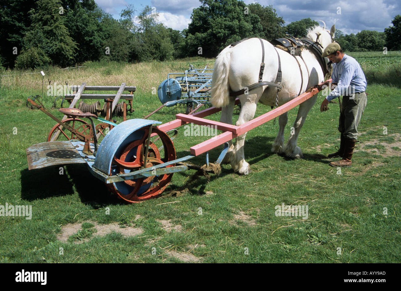 Fienagione alla vecchia maniera con cavallo e falciatrice a Acton Scott una fattoria Museo in Shropshire Foto Stock