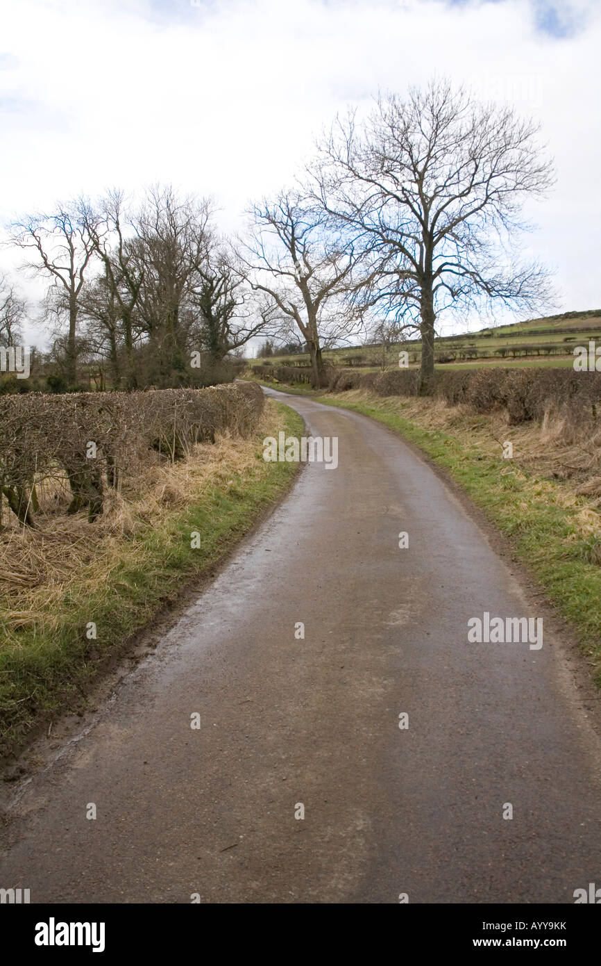 Paese rurale lane , Glanton, Northumberland,Inghilterra. Foto Stock