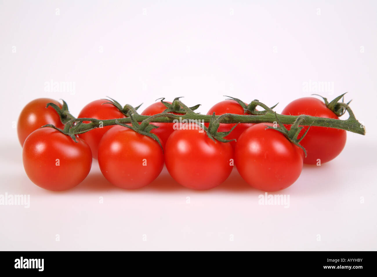 I pomodori sulla vite Foto Stock