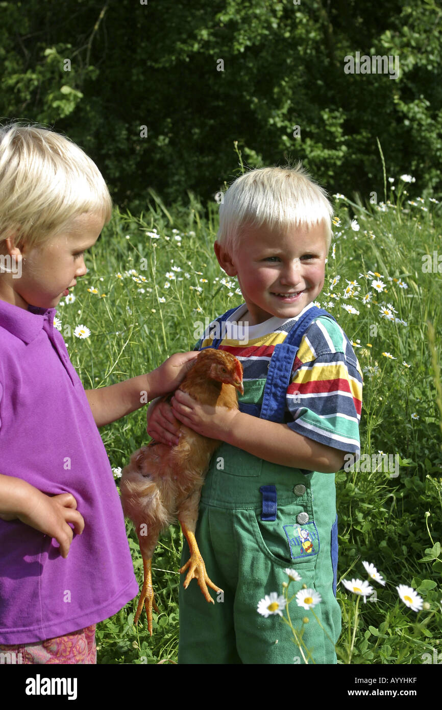 Due bambini con gallina Foto Stock