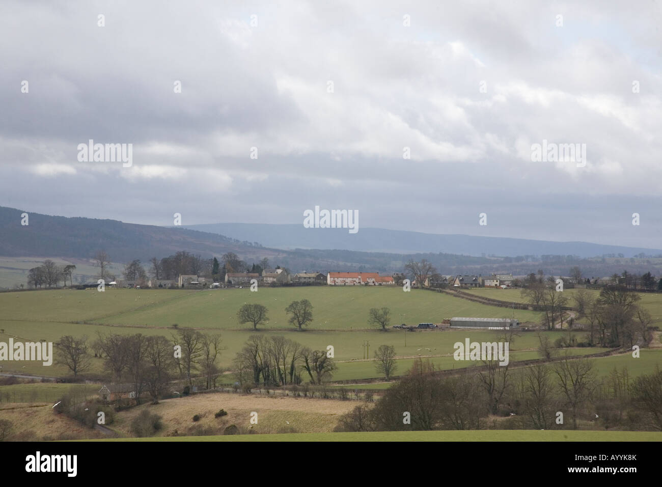 Campi rurali, Glanton, Northumberland, Inghilterra Foto Stock