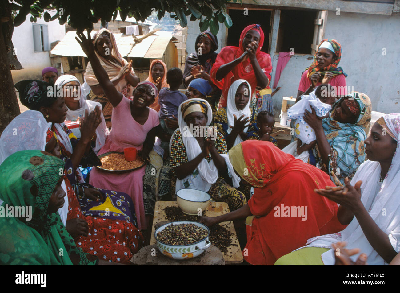 Le donne del Ghana la preparazione di olio di palma da dadi di Palm Foto Stock