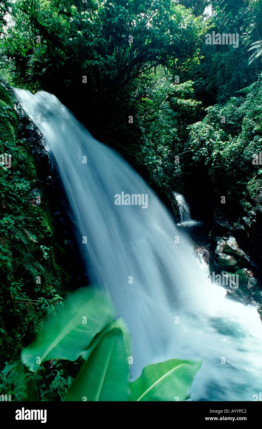 Cascata Costa Rica sud america i Giardini delle Cascate La Paz Foto Stock
