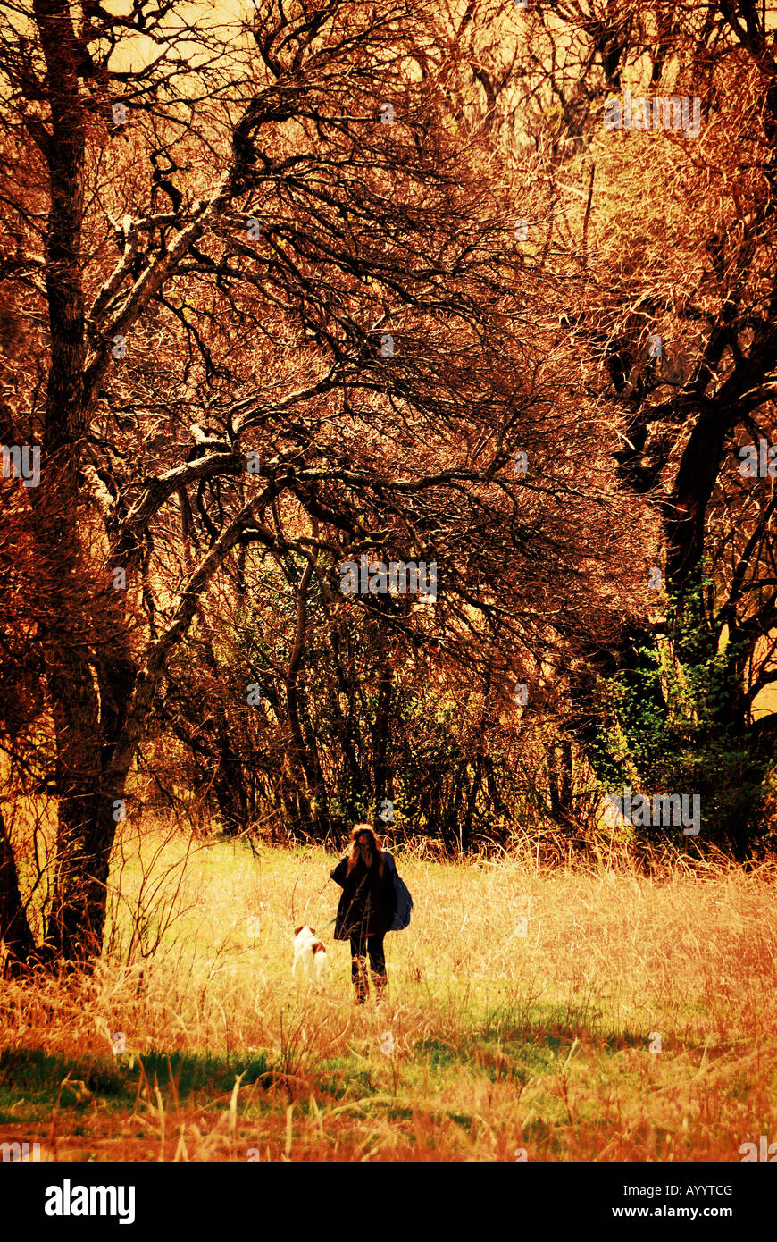 Donna che cammina in un campo con boschi. Passeggiando attraverso casual carattere rurale paesaggio, o il concetto di parco Foto Stock