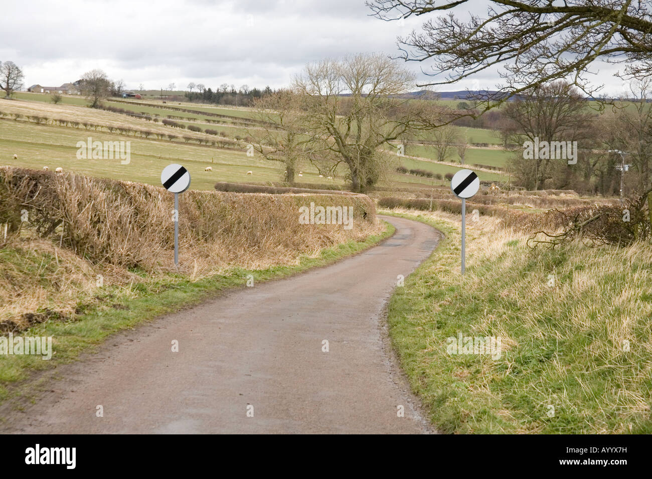 Paese rurale lane , Glanton, Northumberland,Inghilterra. Foto Stock