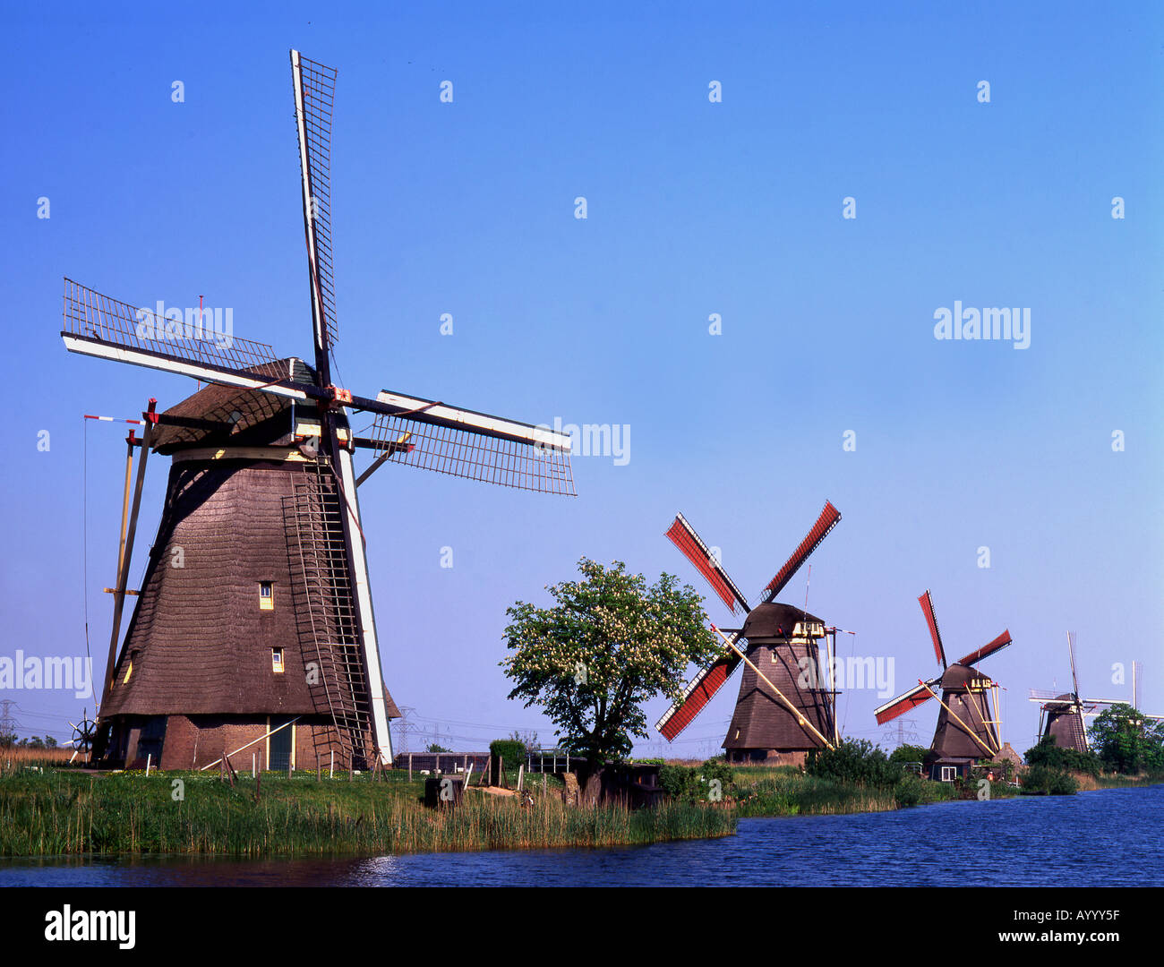 Paesi Bassi mulini a vento Foto Stock