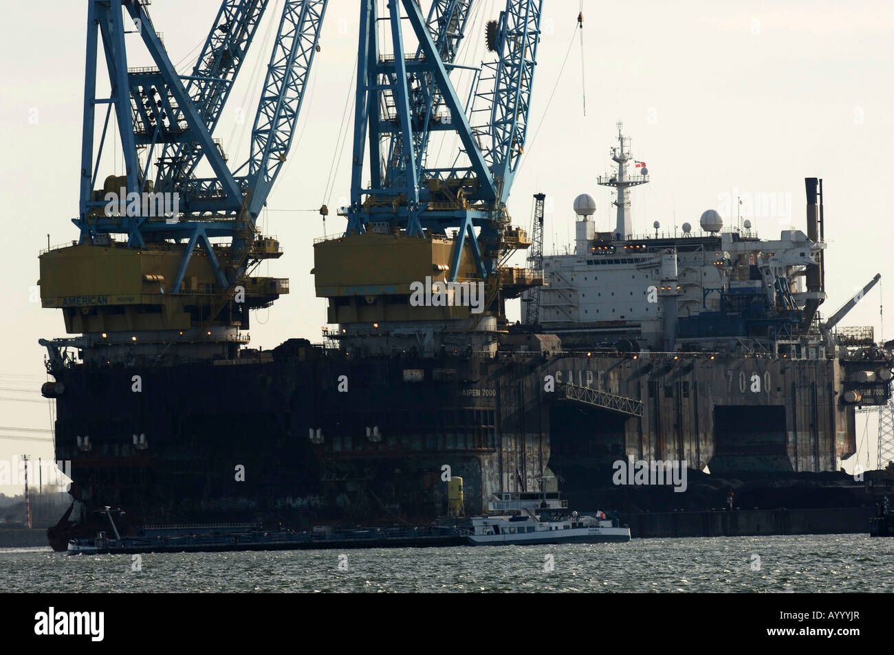 Porto di Rotterdam Crane nave Foto Stock