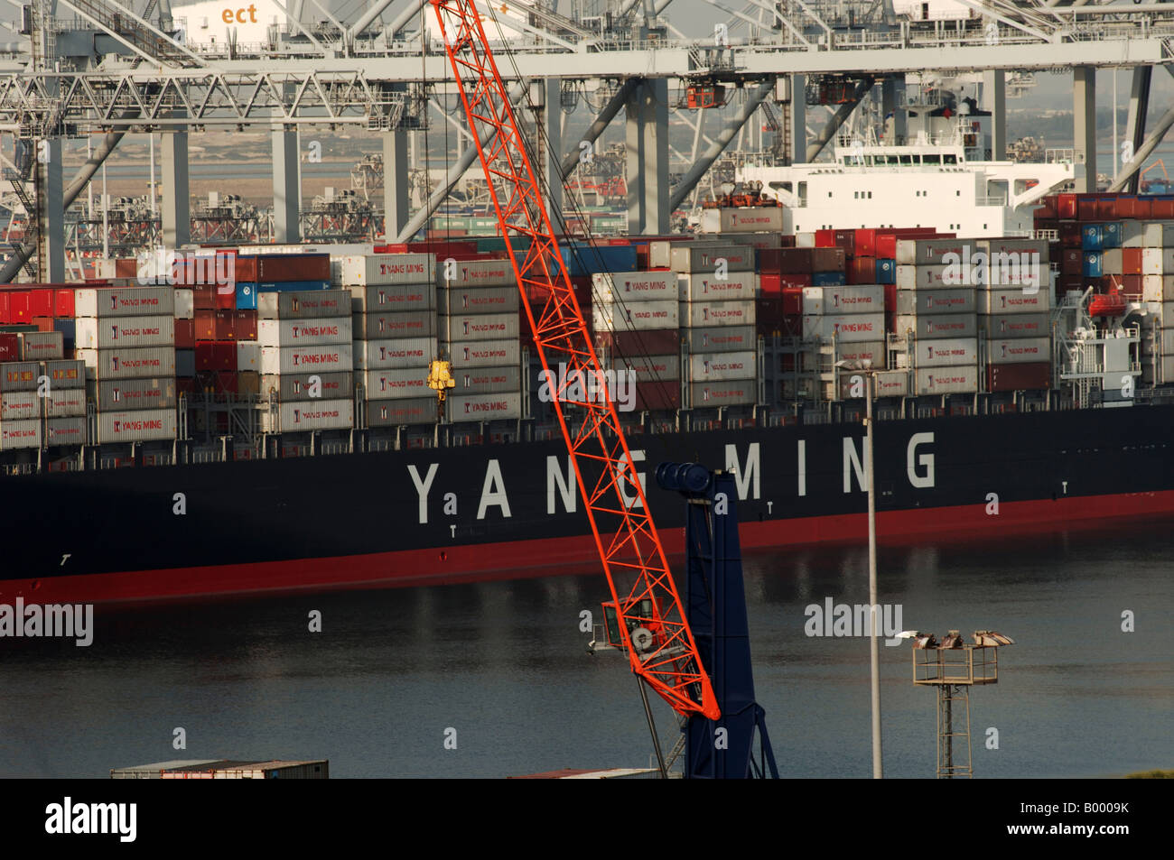 Porto di Rotterdam la nave Yang Ming ancorata al European Container terminal ECT sul Maasvlakte Foto Stock