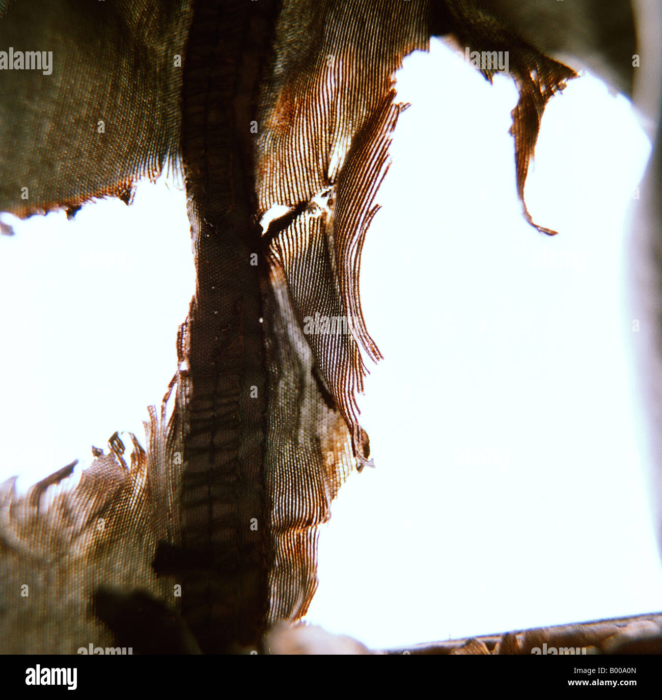 Marrone bruciato sintetico moderno economici tessuto realizzato in Asia sul bianco retroilluminato luce casella Foto Stock