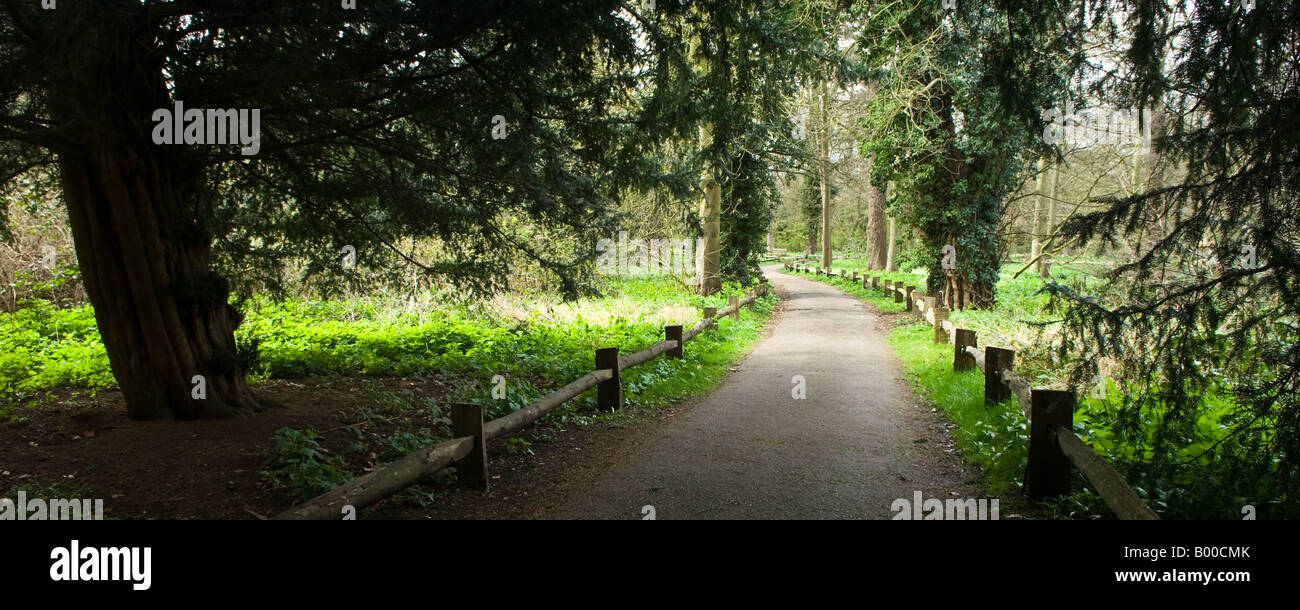 I Royal Botanical Gardens di Kew Londra Inghilterra REGNO UNITO Foto Stock