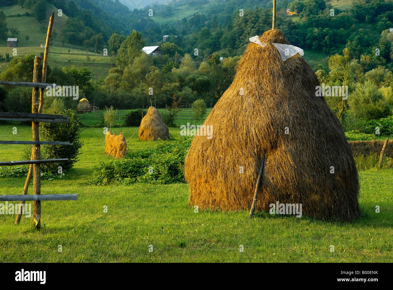 HAYCOCK. Regione di Bucovina, ROMANIA Foto Stock