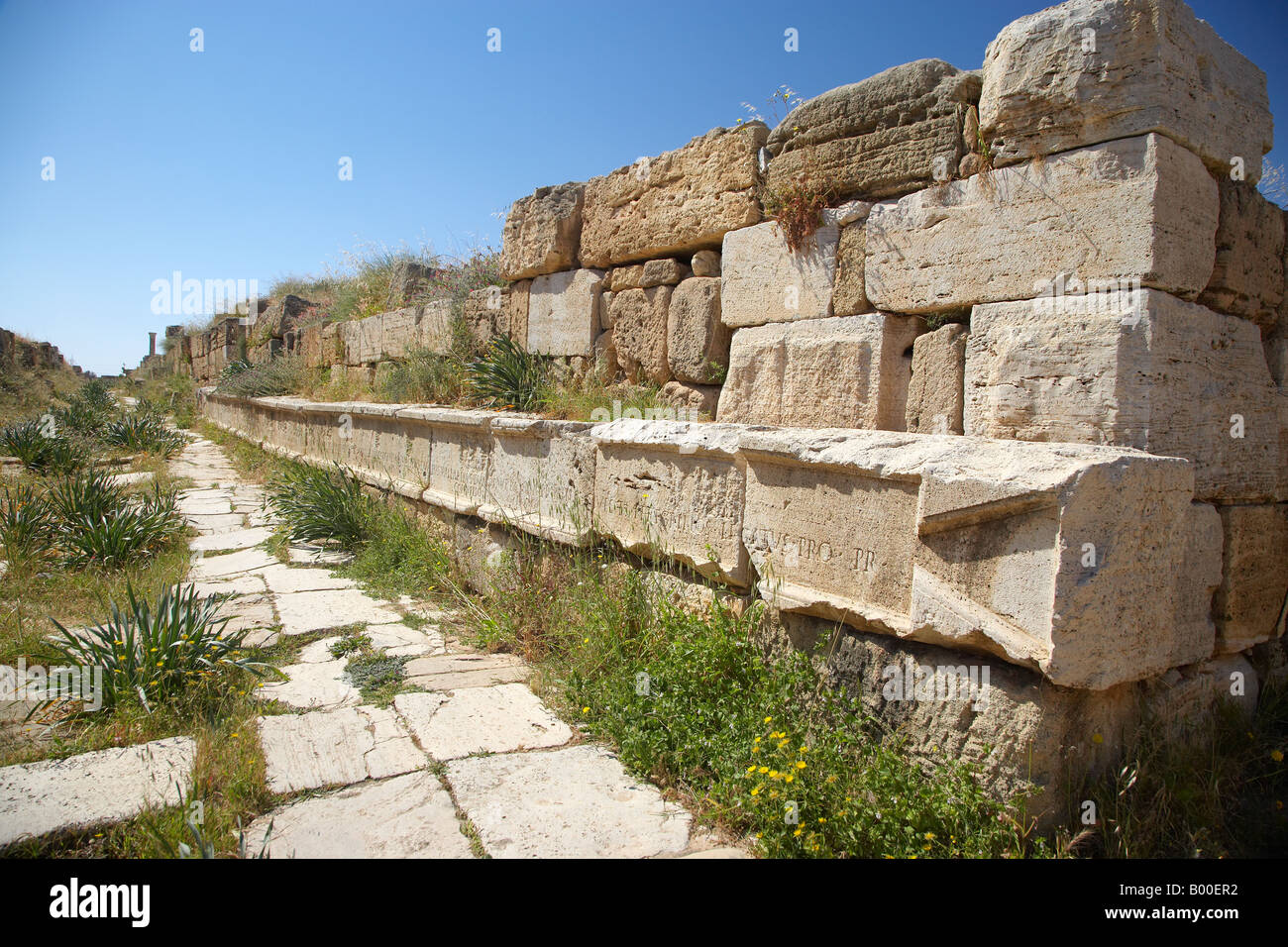 Leptis Magna Libia, Nord Africa Foto Stock