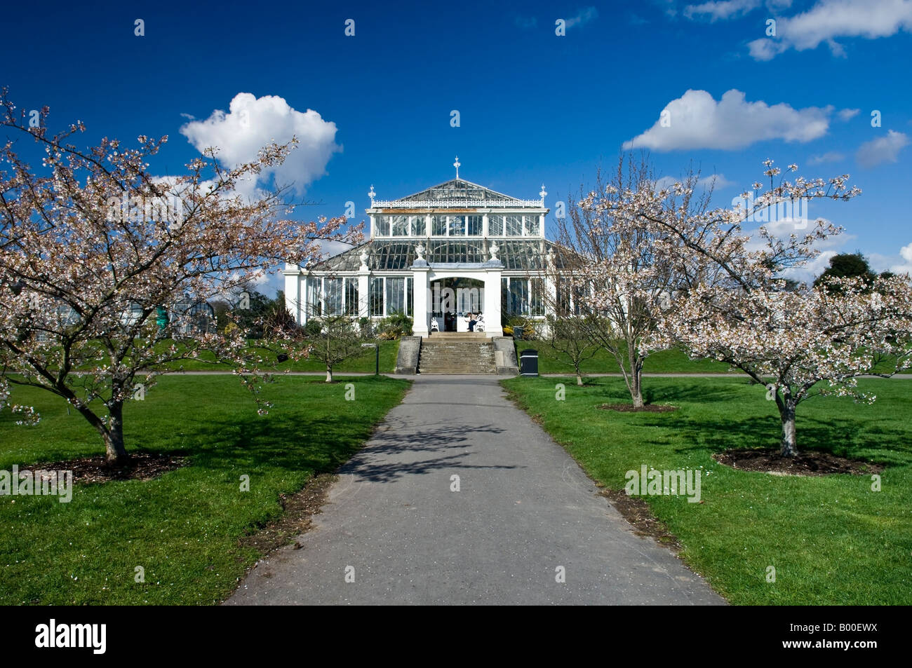 La temperata House Royal Botanical Gardens di Kew Londra Inghilterra REGNO UNITO Foto Stock
