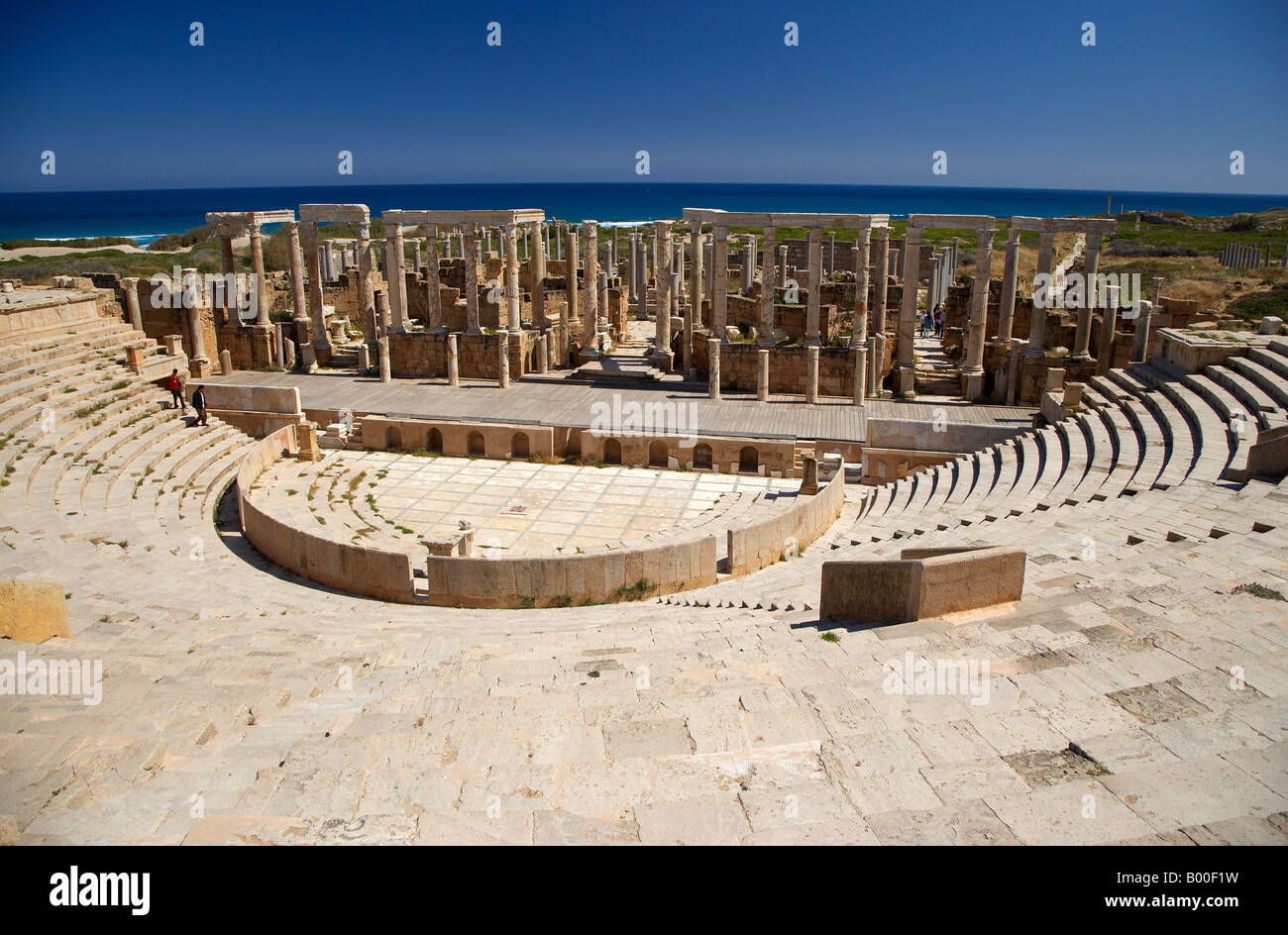 Leptis Magna Theatre, Libia, Nord Africa Foto Stock