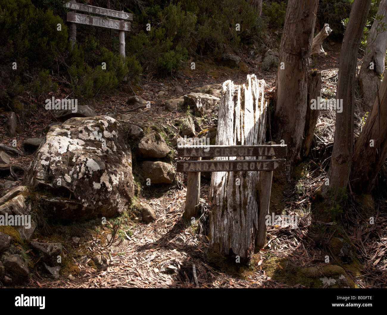 Una via a piedi al Parco Nazionale Mt Field e i segni che indicano le direzioni in Tasmania Australia. Foto Stock