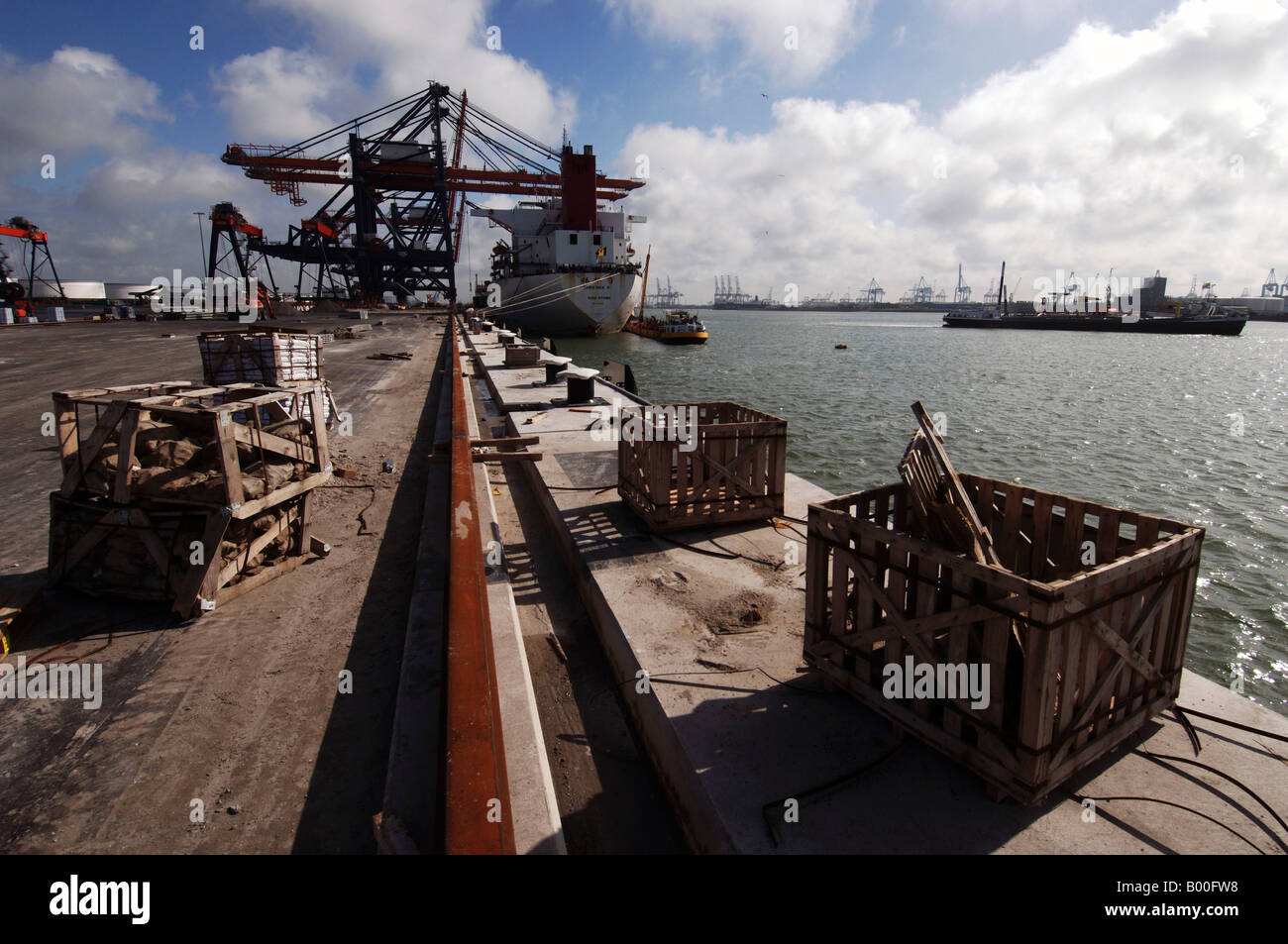 Porto di Rotterdam la costruzione del terminal Euromax e il nuovo Yangtzehaven con la prima gru già funzionante Foto Stock