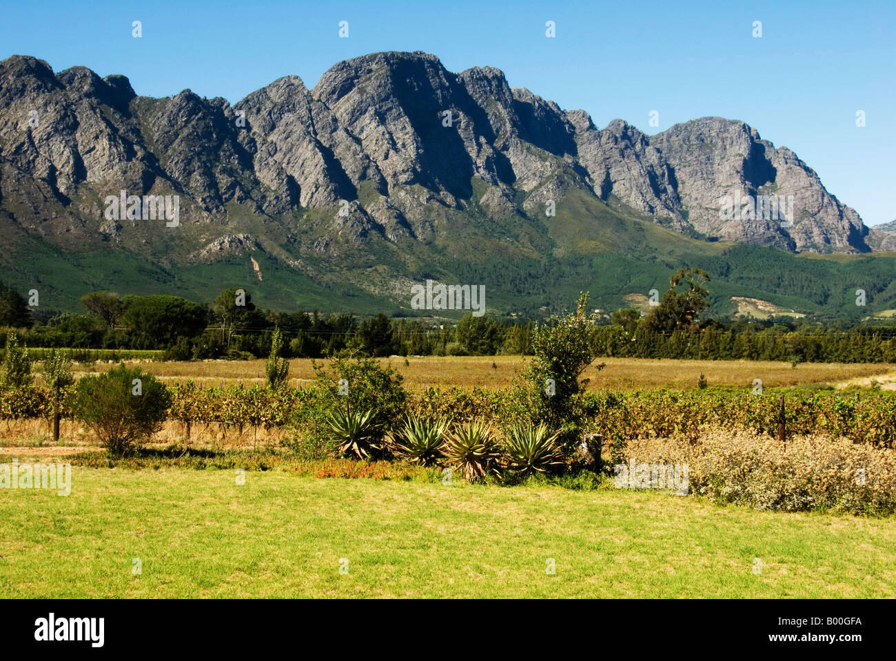 Lo splendido paesaggio della Valle di Franschhoek in Sud Africa. Foto Stock
