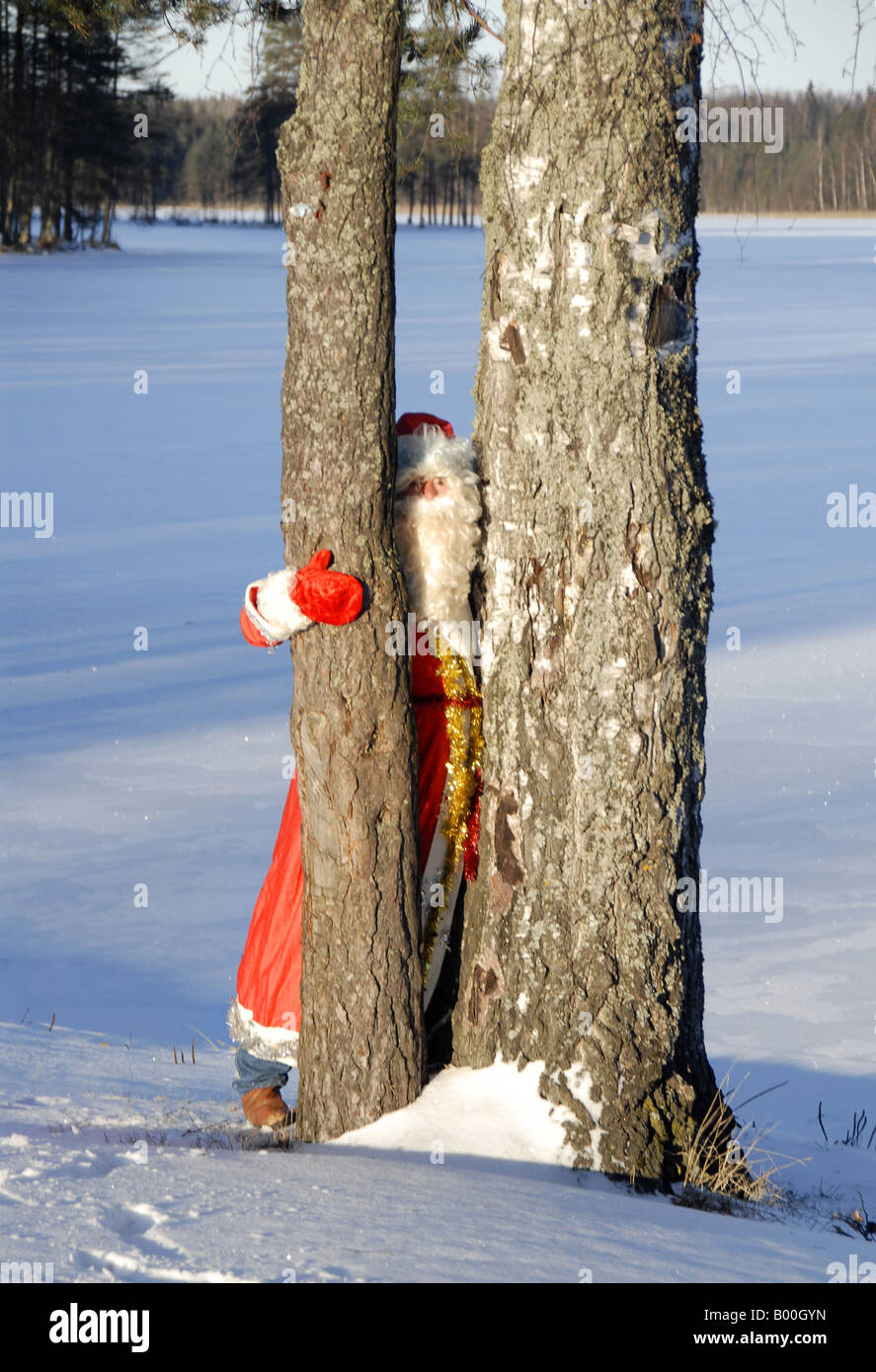 Ded Moroz - Russo equivalente di Santa Claus - sul lago ghiacciato nella regione di Leningrado, Russia Foto Stock