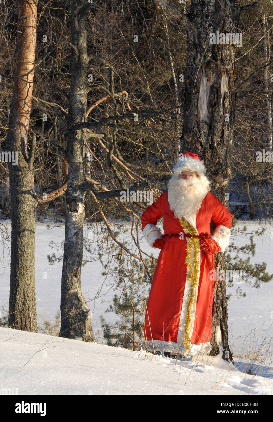 Ded Moroz - Russo equivalente di Santa Claus - nella foresta nella regione di Leningrado, Russia Foto Stock