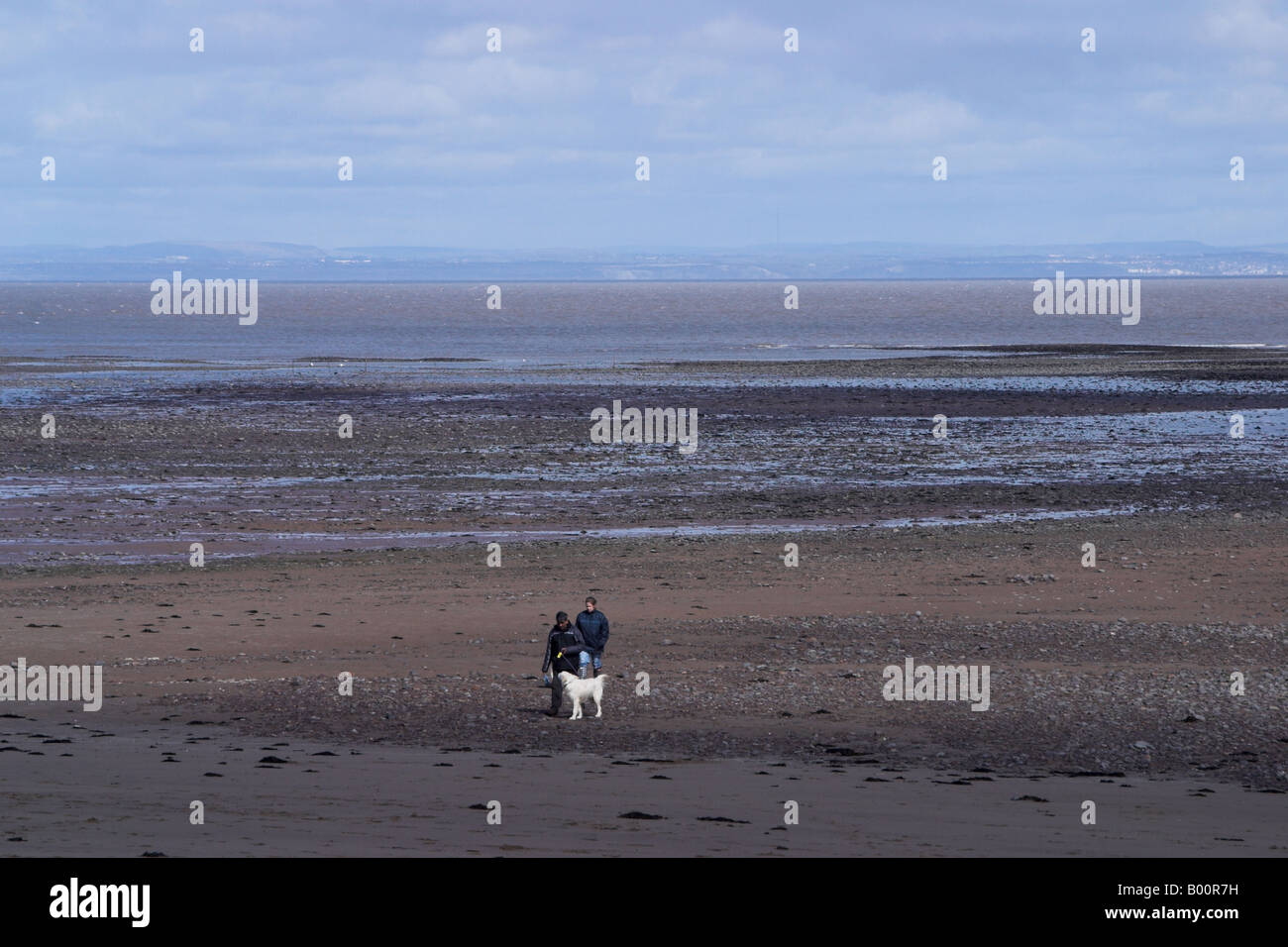 La gente camminare cane blu sulla spiaggia di ancoraggio. Somerset Foto Stock