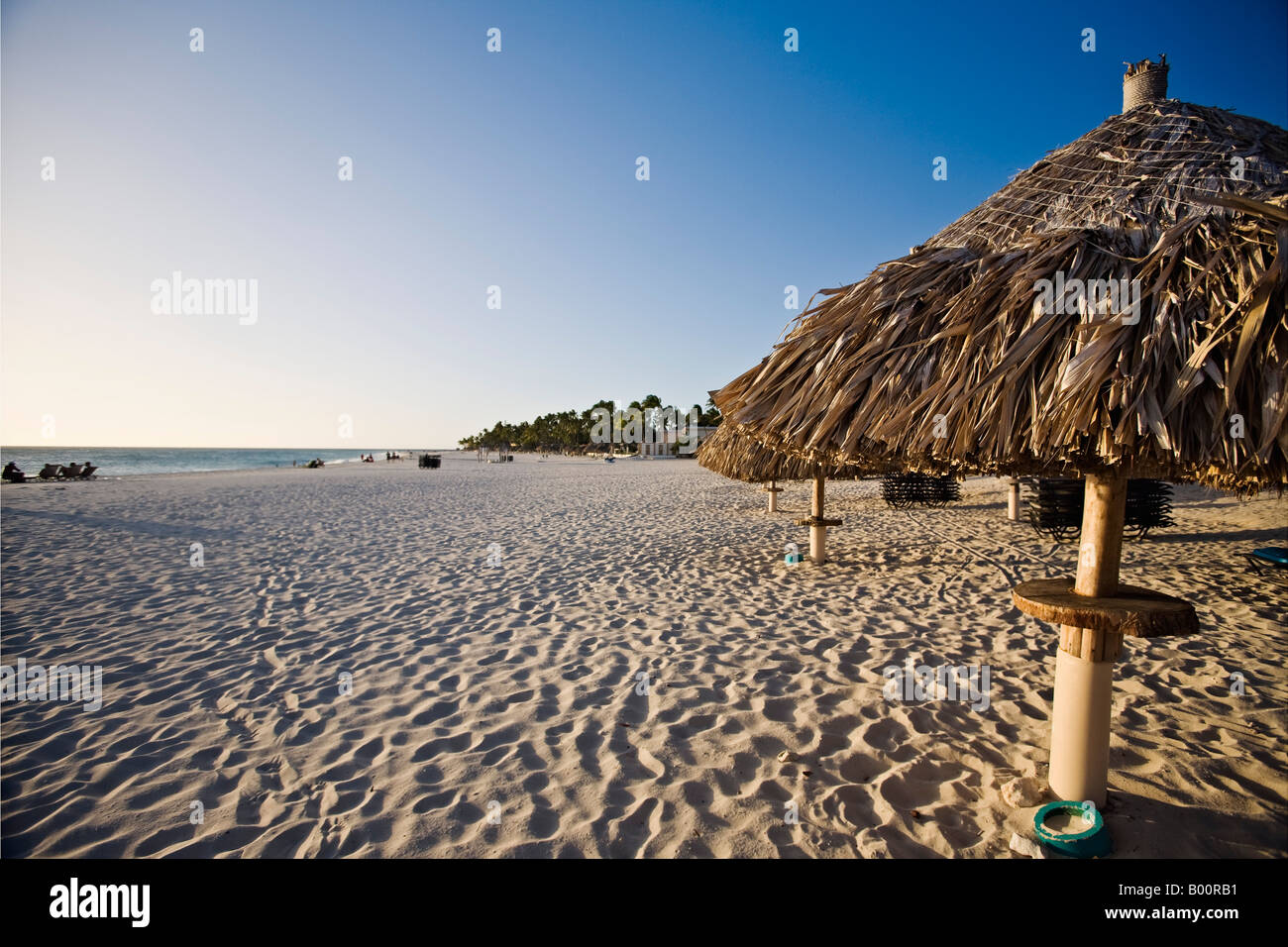 Spiaggia di sabbia fine attrezzata con ombrelloni Palapa Divi Village Aruba Foto Stock