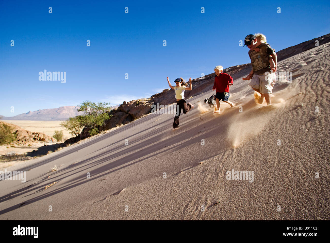 La Namibia, Regione di Erongo, monte Brandberg. Un gruppo di giovani amici di eseguire in ripida discesa sulla faccia di una duna di sabbia si sollevano sabbia. Foto Stock