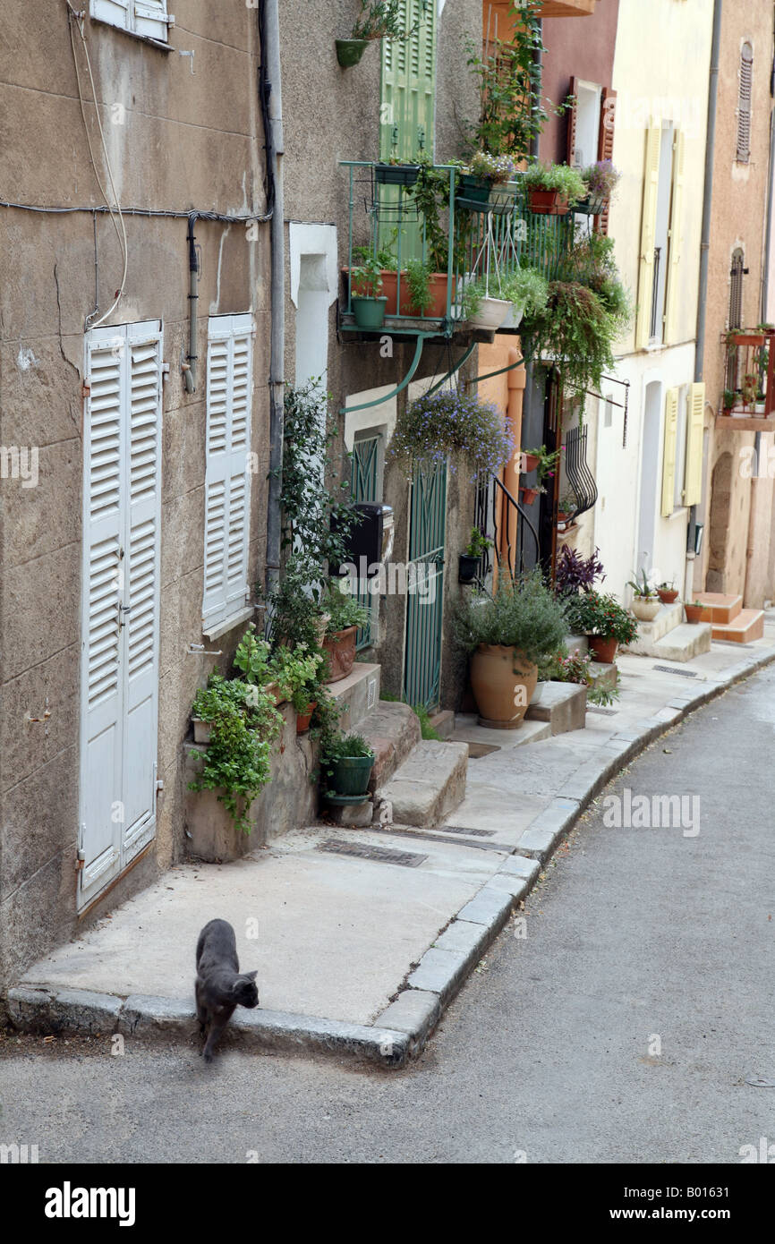Les Arcs borgo medievale, Francia; un gatto a piedi in strada; Les Arcs, Provenza, Francia Europa Foto Stock