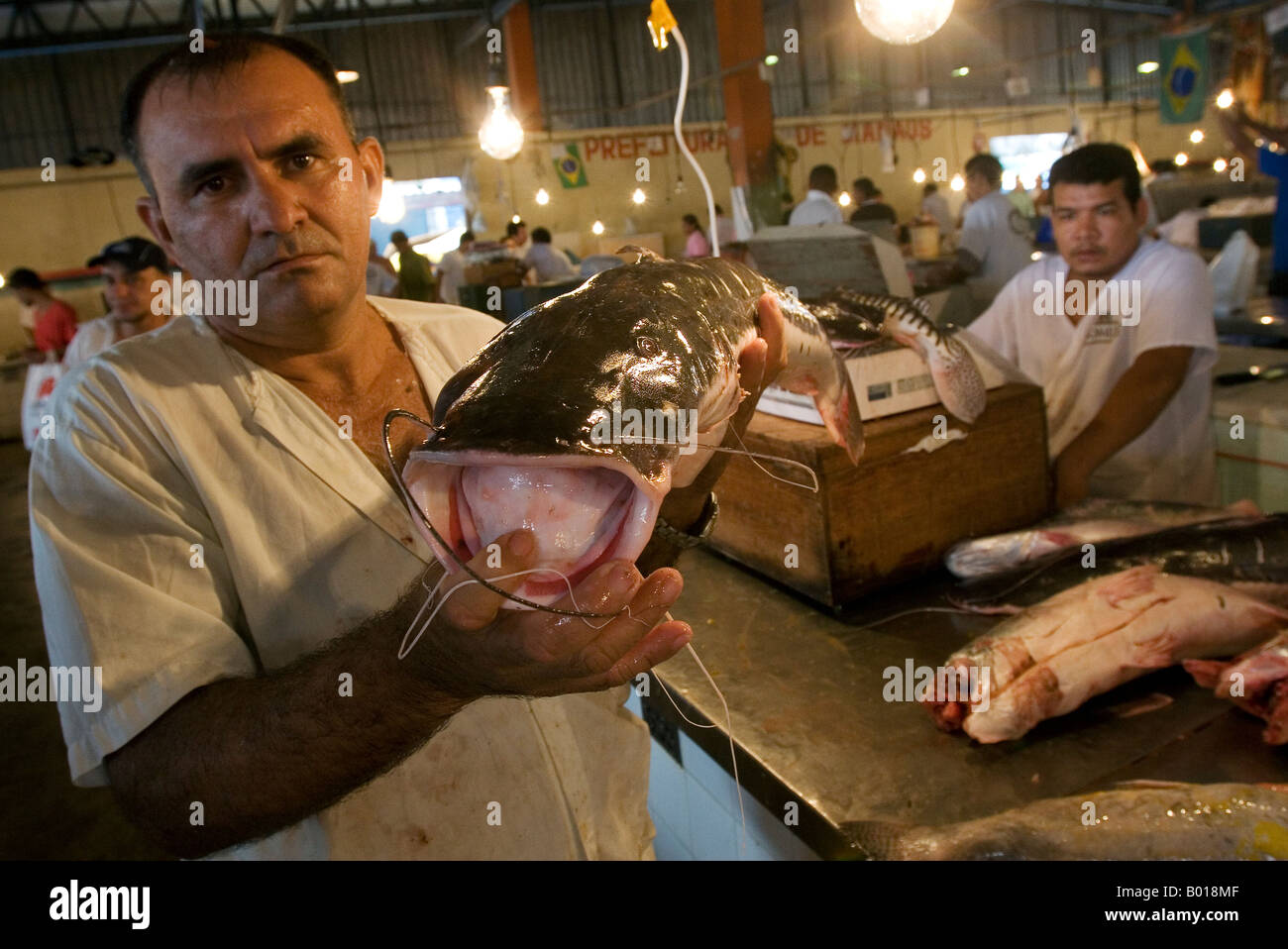 Un venditore di pesce con il pesce gatto in un mercato coperto a Manaus Foto Stock