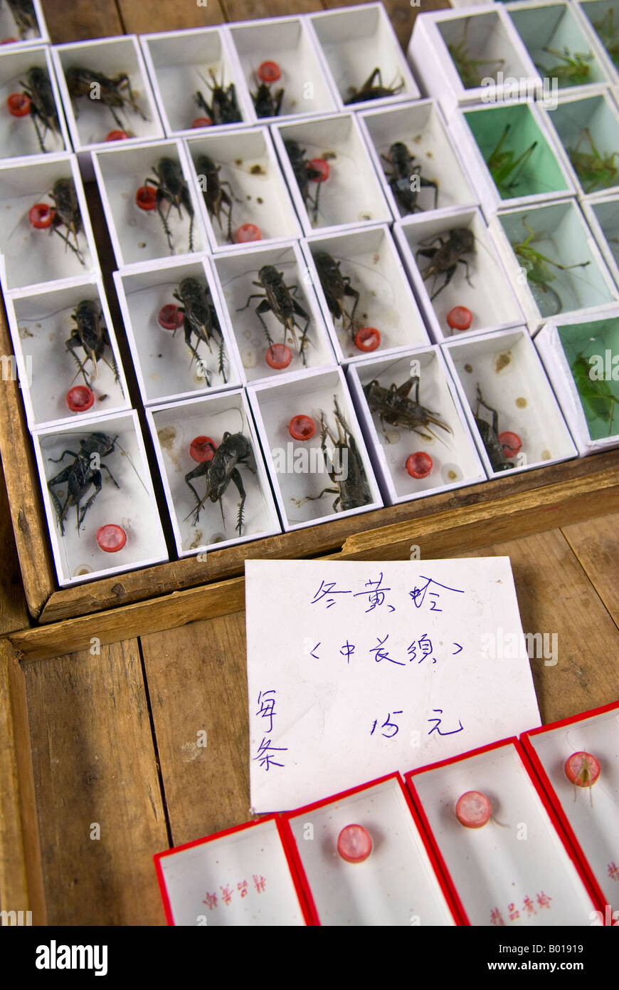Grilli per la vendita nel mercato del PET, Shanghai, Cina Foto Stock