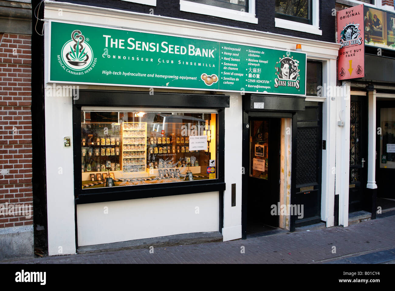 Parte anteriore della Sensi Seed Bank shop un cannabis drug store lungo Oudezijds Achterburgwal Amsterdam Paesi Bassi Olanda settentrionale Europa Foto Stock